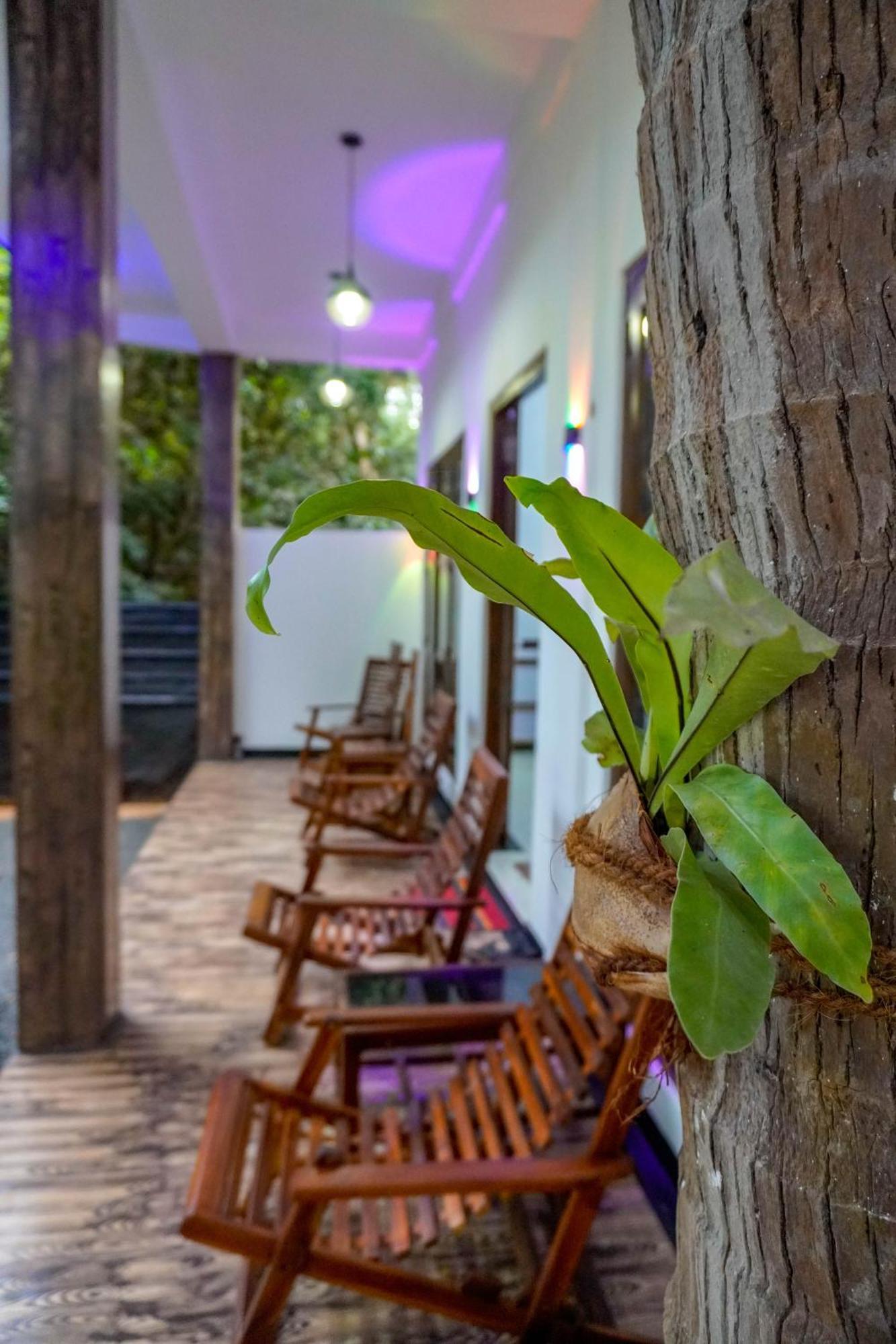 Nature Lotus Villa Dambulla Esterno foto