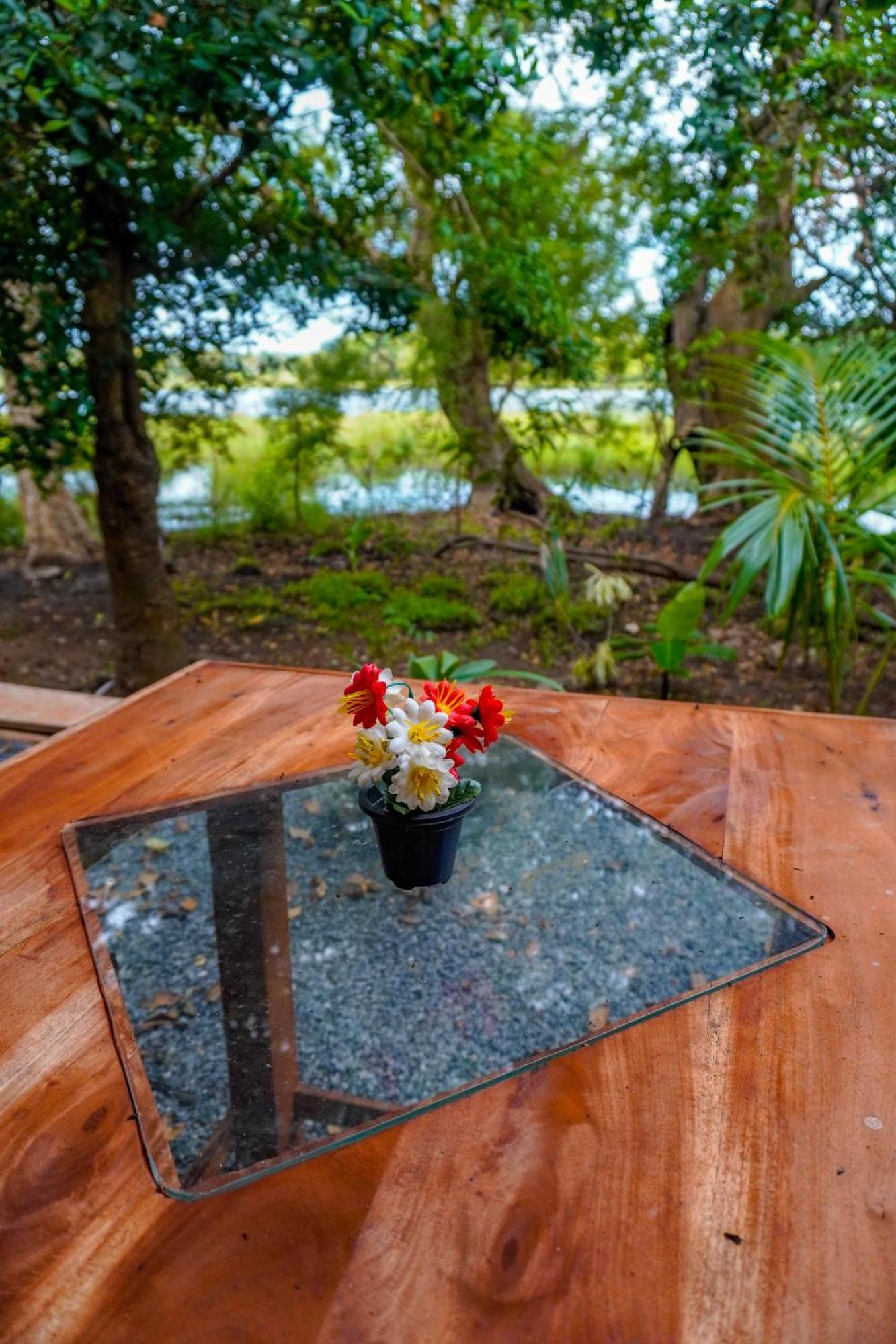 Nature Lotus Villa Dambulla Esterno foto